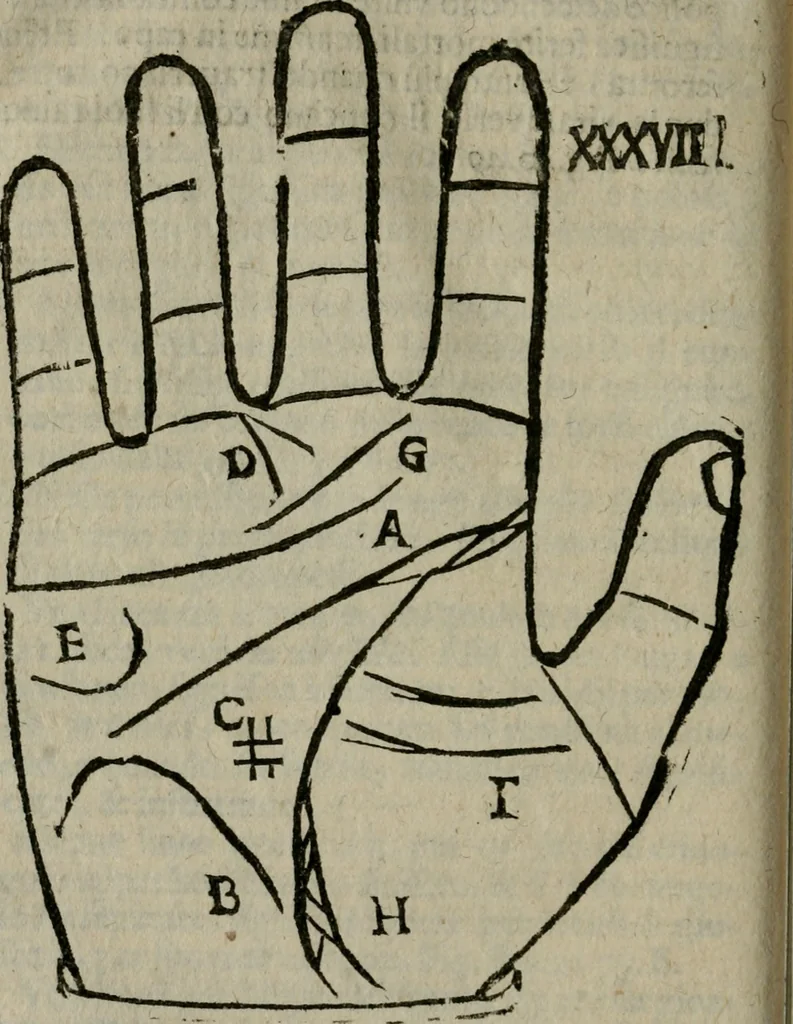 An illustration from Epitoma chyromantico di Patritio Tricasso da Cerasari Mantouano : nel quale si contiene tutte l'opere per esso Tricasso in questa scientia composte, con assai figure, & dichiarationi agiunte ; facilissimo ad imparare, & in breuissimo tempo, 1538, leaf 221
