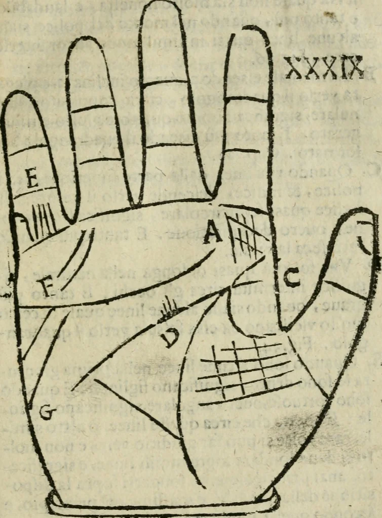 An illustration from Epitoma chyromantico di Patritio Tricasso da Cerasari Mantouano : nel quale si contiene tutte l'opere per esso Tricasso in questa scientia composte, con assai figure, & dichiarationi agiunte ; facilissimo ad imparare, & in breuissimo tempo, 1538, leaf 224