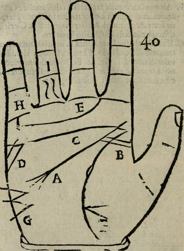 An illustration from Epitoma chyromantico di Patritio Tricasso da Cerasari Mantouano : nel quale si contiene tutte l'opere per esso Tricasso in questa scientia composte, con assai figure, & dichiarationi agiunte ; facilissimo ad imparare, & in breuissimo tempo, 1538, leaf 227