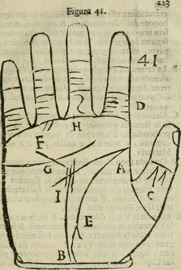 An illustration from Epitoma chyromantico di Patritio Tricasso da Cerasari Mantouano : nel quale si contiene tutte l'opere per esso Tricasso in questa scientia composte, con assai figure, & dichiarationi agiunte ; facilissimo ad imparare, & in breuissimo tempo, 1538, leaf 230
