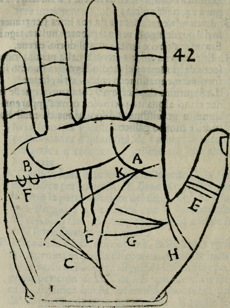 An illustration from Epitoma chyromantico di Patritio Tricasso da Cerasari Mantouano : nel quale si contiene tutte l'opere per esso Tricasso in questa scientia composte, con assai figure, & dichiarationi agiunte ; facilissimo ad imparare, & in breuissimo tempo, 1538, leaf 233