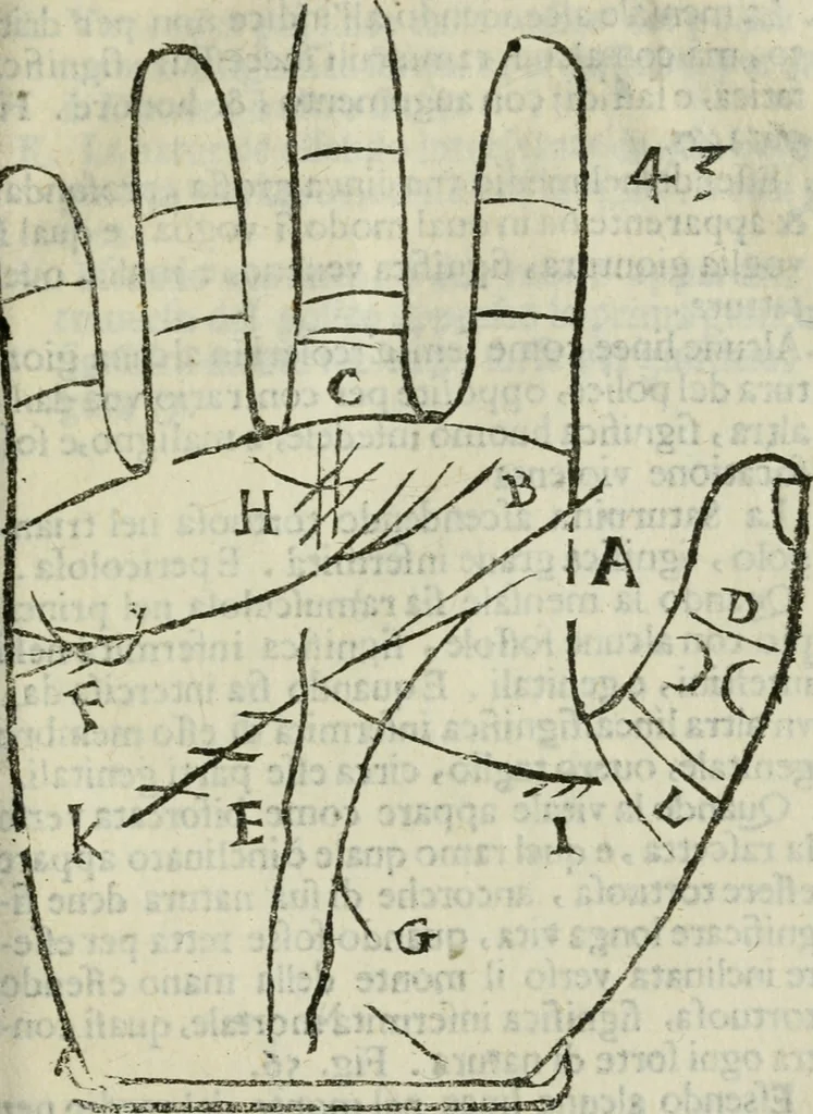 An illustration from Epitoma chyromantico di Patritio Tricasso da Cerasari Mantouano : nel quale si contiene tutte l'opere per esso Tricasso in questa scientia composte, con assai figure, & dichiarationi agiunte ; facilissimo ad imparare, & in breuissimo tempo, 1538, leaf 236