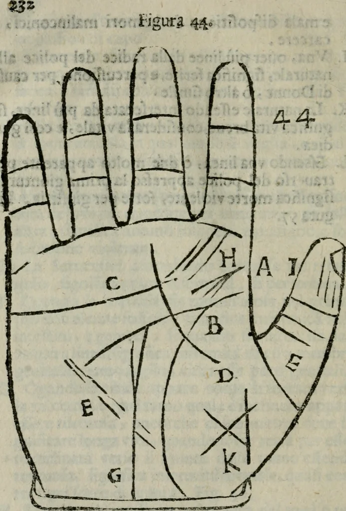 An illustration from Epitoma chyromantico di Patritio Tricasso da Cerasari Mantouano : nel quale si contiene tutte l'opere per esso Tricasso in questa scientia composte, con assai figure, & dichiarationi agiunte ; facilissimo ad imparare, & in breuissimo tempo, 1538, leaf 239