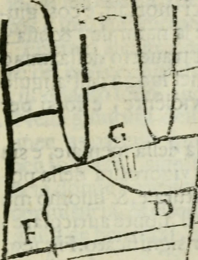 An illustration from Epitoma chyromantico di Patritio Tricasso da Cerasari Mantouano : nel quale si contiene tutte l'opere per esso Tricasso in questa scientia composte, con assai figure, & dichiarationi agiunte ; facilissimo ad imparare, & in breuissimo tempo, 1538, leaf 242