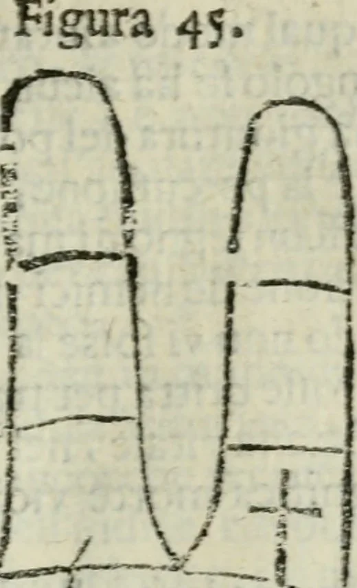 An illustration from Epitoma chyromantico di Patritio Tricasso da Cerasari Mantouano : nel quale si contiene tutte l'opere per esso Tricasso in questa scientia composte, con assai figure, & dichiarationi agiunte ; facilissimo ad imparare, & in breuissimo tempo, 1538, leaf 242