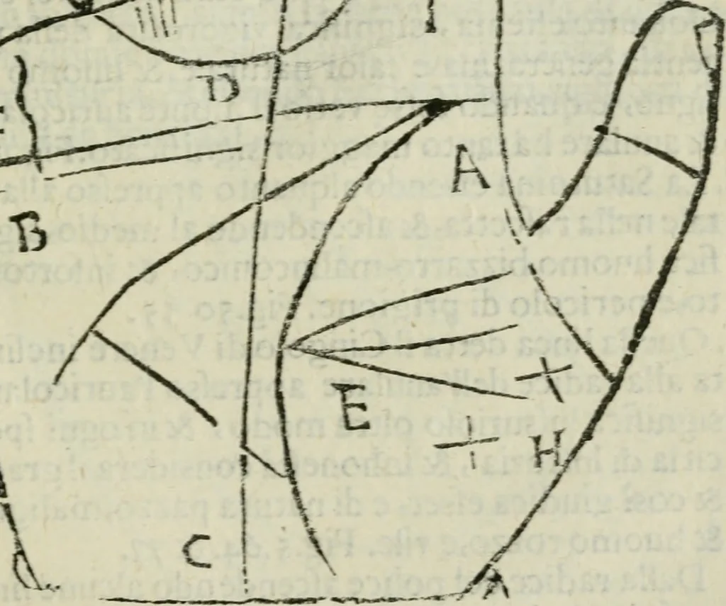 An illustration from Epitoma chyromantico di Patritio Tricasso da Cerasari Mantouano : nel quale si contiene tutte l'opere per esso Tricasso in questa scientia composte, con assai figure, & dichiarationi agiunte ; facilissimo ad imparare, & in breuissimo tempo, 1538, leaf 242
