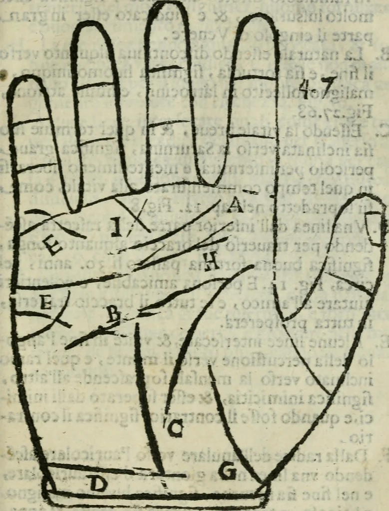 An illustration from Epitoma chyromantico di Patritio Tricasso da Cerasari Mantouano : nel quale si contiene tutte l'opere per esso Tricasso in questa scientia composte, con assai figure, & dichiarationi agiunte ; facilissimo ad imparare, & in breuissimo tempo, 1538, leaf 248