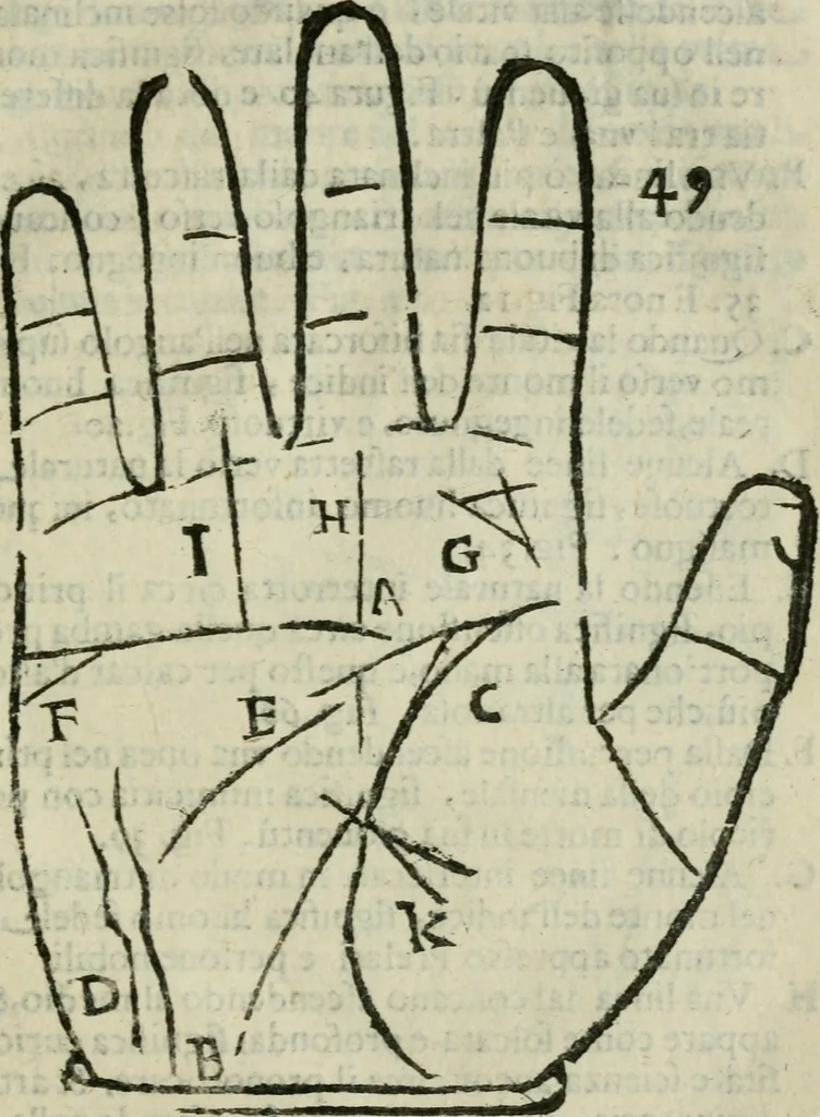 An illustration from Epitoma chyromantico di Patritio Tricasso da Cerasari Mantouano : nel quale si contiene tutte l'opere per esso Tricasso in questa scientia composte, con assai figure, & dichiarationi agiunte ; facilissimo ad imparare, & in breuissimo tempo, 1538, leaf 254