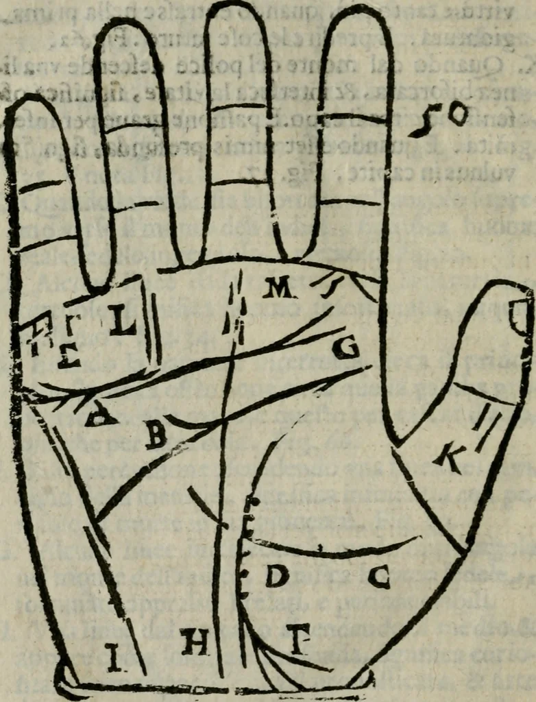 An illustration from Epitoma chyromantico di Patritio Tricasso da Cerasari Mantouano : nel quale si contiene tutte l'opere per esso Tricasso in questa scientia composte, con assai figure, & dichiarationi agiunte ; facilissimo ad imparare, & in breuissimo tempo, 1538, leaf 255