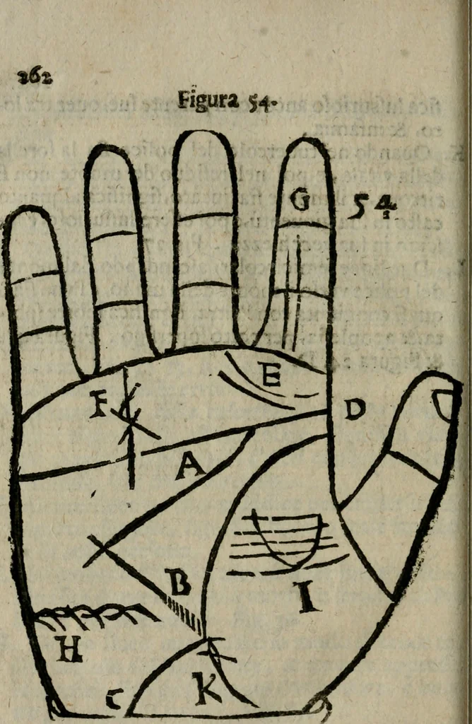 An illustration from Epitoma chyromantico di Patritio Tricasso da Cerasari Mantouano : nel quale si contiene tutte l'opere per esso Tricasso in questa scientia composte, con assai figure, & dichiarationi agiunte ; facilissimo ad imparare, & in breuissimo tempo, 1538, leaf 269