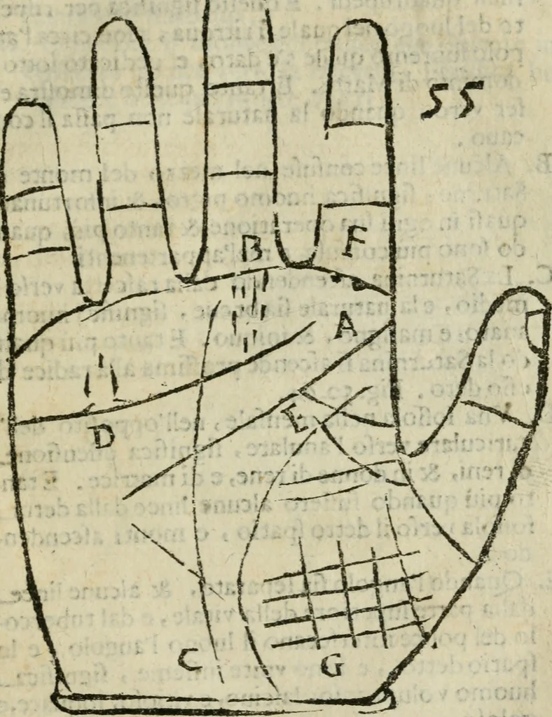 An illustration from Epitoma chyromantico di Patritio Tricasso da Cerasari Mantouano : nel quale si contiene tutte l'opere per esso Tricasso in questa scientia composte, con assai figure, & dichiarationi agiunte ; facilissimo ad imparare, & in breuissimo tempo, 1538, leaf 272