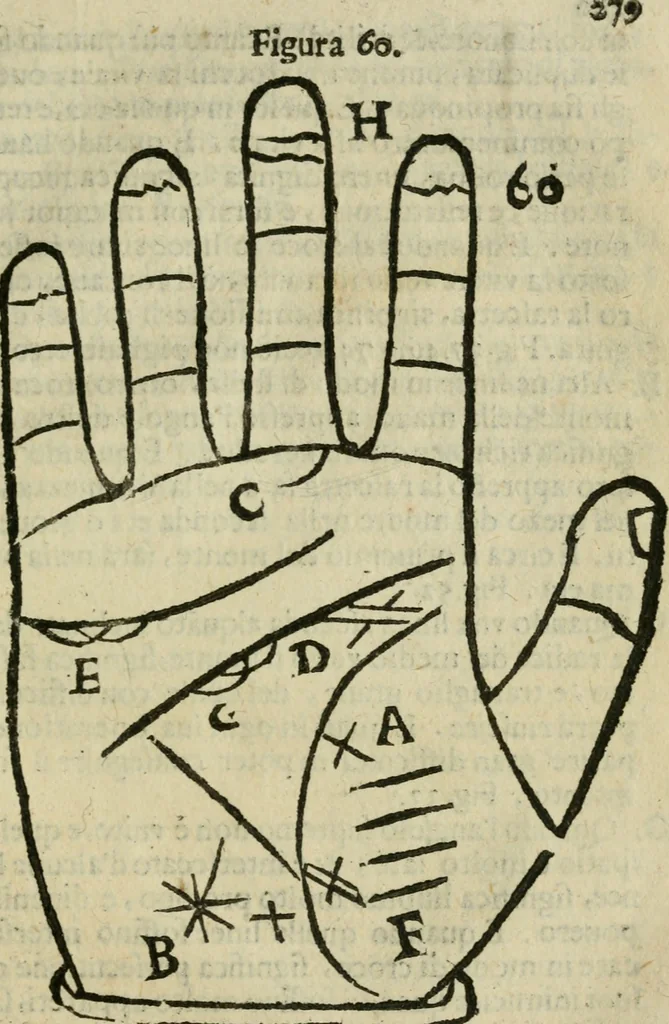 An illustration from Epitoma chyromantico di Patritio Tricasso da Cerasari Mantouano : nel quale si contiene tutte l'opere per esso Tricasso in questa scientia composte, con assai figure, & dichiarationi agiunte ; facilissimo ad imparare, & in breuissimo tempo, 1538, leaf 286