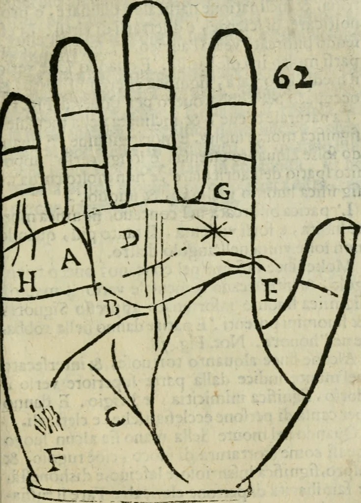 An illustration from Epitoma chyromantico di Patritio Tricasso da Cerasari Mantouano : nel quale si contiene tutte l'opere per esso Tricasso in questa scientia composte, con assai figure, & dichiarationi agiunte ; facilissimo ad imparare, & in breuissimo tempo, 1538, leaf 292