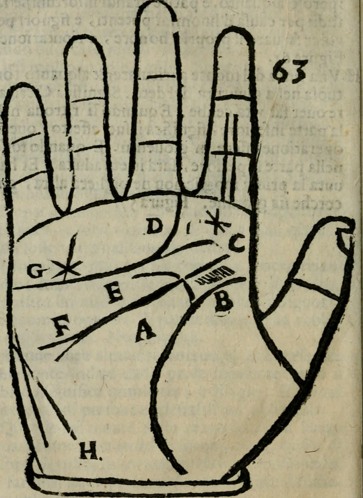 An illustration from Epitoma chyromantico di Patritio Tricasso da Cerasari Mantouano : nel quale si contiene tutte l'opere per esso Tricasso in questa scientia composte, con assai figure, & dichiarationi agiunte ; facilissimo ad imparare, & in breuissimo tempo, 1538, leaf 295