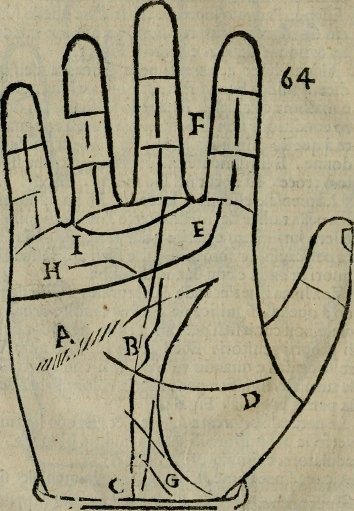 An illustration from Epitoma chyromantico di Patritio Tricasso da Cerasari Mantouano : nel quale si contiene tutte l'opere per esso Tricasso in questa scientia composte, con assai figure, & dichiarationi agiunte ; facilissimo ad imparare, & in breuissimo tempo, 1538, leaf 297