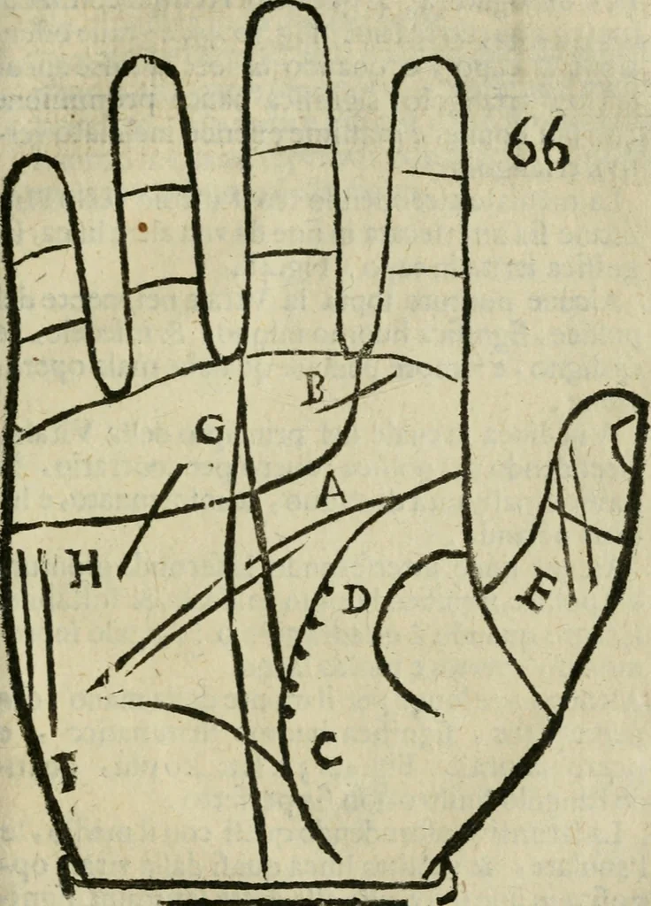 An illustration from Epitoma chyromantico di Patritio Tricasso da Cerasari Mantouano : nel quale si contiene tutte l'opere per esso Tricasso in questa scientia composte, con assai figure, & dichiarationi agiunte ; facilissimo ad imparare, & in breuissimo tempo, 1538, leaf 302