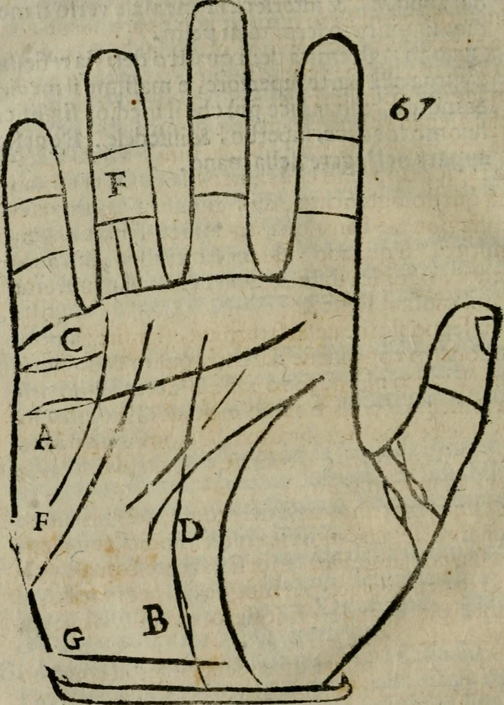An illustration from Epitoma chyromantico di Patritio Tricasso da Cerasari Mantouano : nel quale si contiene tutte l'opere per esso Tricasso in questa scientia composte, con assai figure, & dichiarationi agiunte ; facilissimo ad imparare, & in breuissimo tempo, 1538, leaf 305