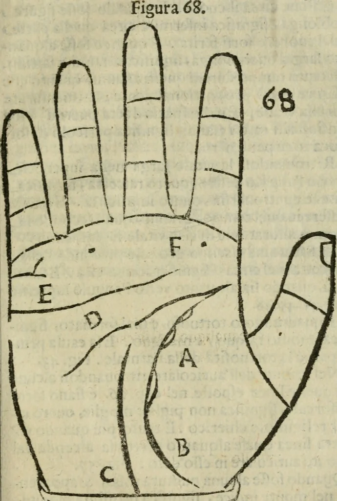 An illustration from Epitoma chyromantico di Patritio Tricasso da Cerasari Mantouano : nel quale si contiene tutte l'opere per esso Tricasso in questa scientia composte, con assai figure, & dichiarationi agiunte ; facilissimo ad imparare, & in breuissimo tempo, 1538, leaf 308