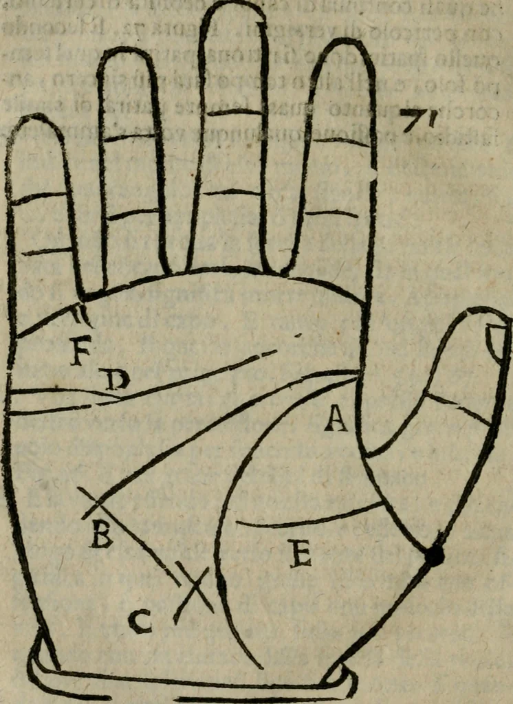 An illustration from Epitoma chyromantico di Patritio Tricasso da Cerasari Mantouano : nel quale si contiene tutte l'opere per esso Tricasso in questa scientia composte, con assai figure, & dichiarationi agiunte ; facilissimo ad imparare, & in breuissimo tempo, 1538, leaf 317