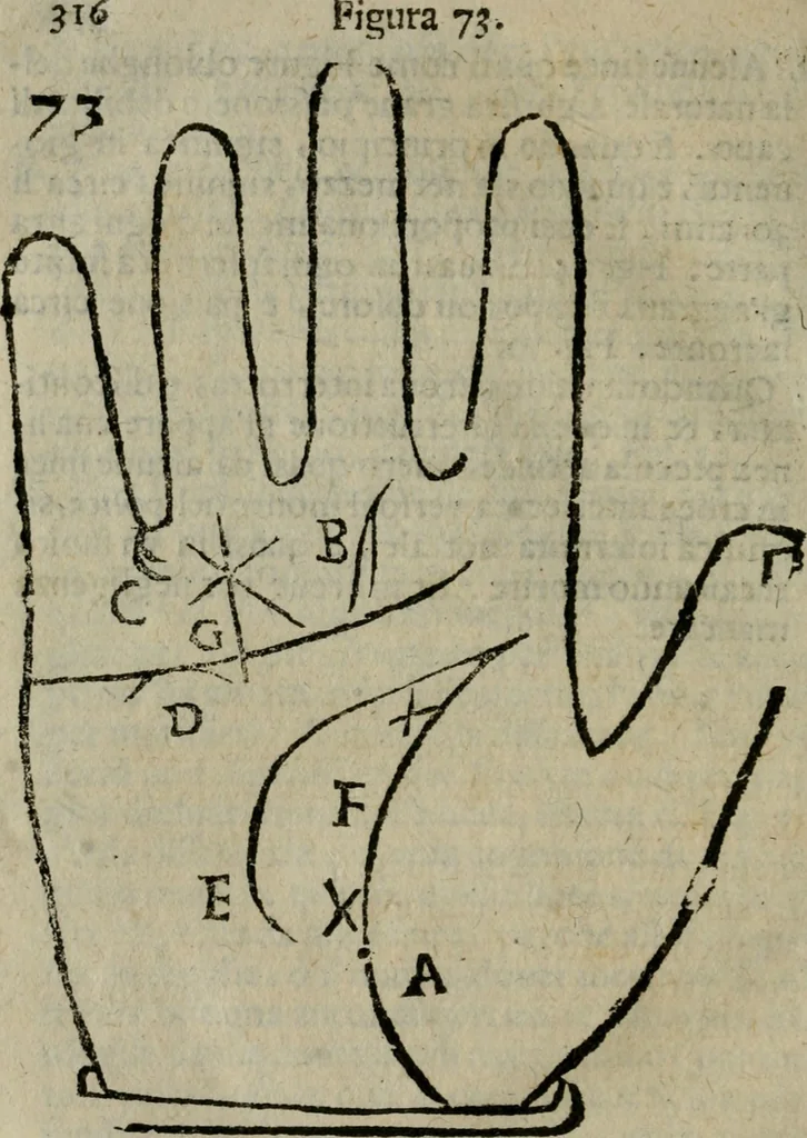 An illustration from Epitoma chyromantico di Patritio Tricasso da Cerasari Mantouano : nel quale si contiene tutte l'opere per esso Tricasso in questa scientia composte, con assai figure, & dichiarationi agiunte ; facilissimo ad imparare, & in breuissimo tempo, 1538, leaf 323