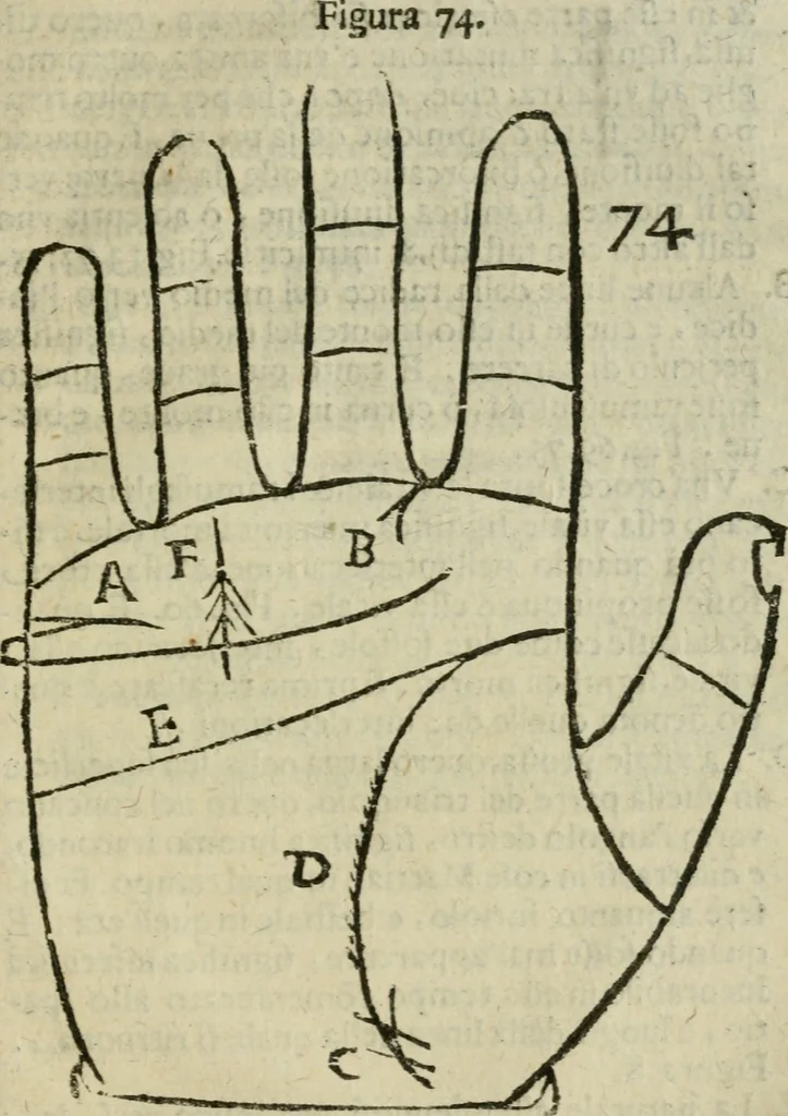 An illustration from Epitoma chyromantico di Patritio Tricasso da Cerasari Mantouano : nel quale si contiene tutte l'opere per esso Tricasso in questa scientia composte, con assai figure, & dichiarationi agiunte ; facilissimo ad imparare, & in breuissimo tempo, 1538, leaf 326