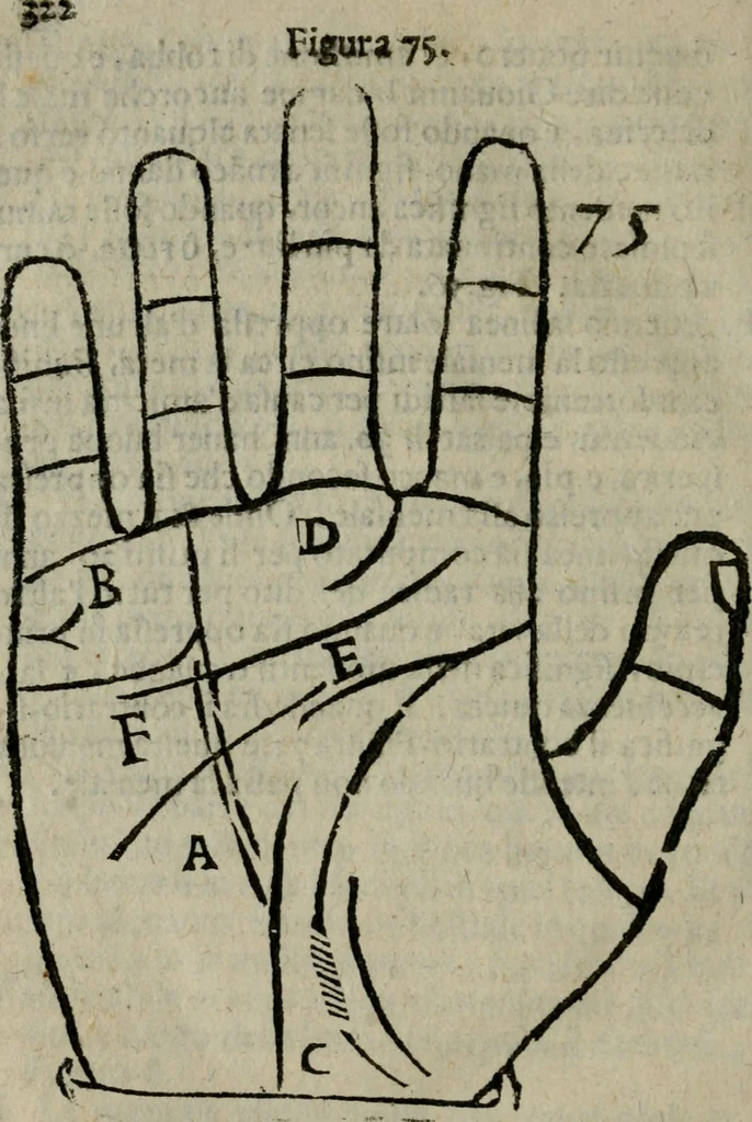 An illustration from Epitoma chyromantico di Patritio Tricasso da Cerasari Mantouano : nel quale si contiene tutte l'opere per esso Tricasso in questa scientia composte, con assai figure, & dichiarationi agiunte ; facilissimo ad imparare, & in breuissimo tempo, 1538, leaf 329