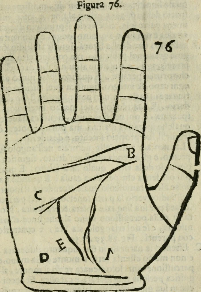 An illustration from Epitoma chyromantico di Patritio Tricasso da Cerasari Mantouano : nel quale si contiene tutte l'opere per esso Tricasso in questa scientia composte, con assai figure, & dichiarationi agiunte ; facilissimo ad imparare, & in breuissimo tempo, 1538, leaf 332