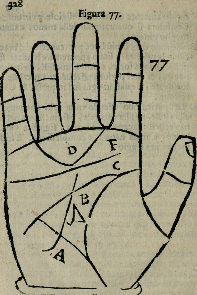 An illustration from Epitoma chyromantico di Patritio Tricasso da Cerasari Mantouano : nel quale si contiene tutte l'opere per esso Tricasso in questa scientia composte, con assai figure, & dichiarationi agiunte ; facilissimo ad imparare, & in breuissimo tempo, 1538, leaf 335
