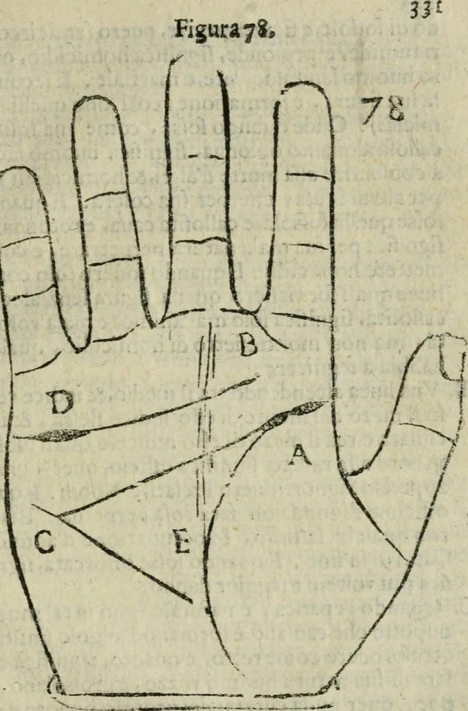 An illustration from Epitoma chyromantico di Patritio Tricasso da Cerasari Mantouano : nel quale si contiene tutte l'opere per esso Tricasso in questa scientia composte, con assai figure, & dichiarationi agiunte ; facilissimo ad imparare, & in breuissimo tempo, 1538, leaf 338