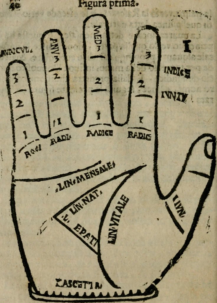 An illustration from Epitoma chyromantico di Patritio Tricasso da Cerasari Mantouano : nel quale si contiene tutte l'opere per esso Tricasso in questa scientia composte, con assai figure, & dichiarationi agiunte ; facilissimo ad imparare, & in breuissimo tempo, 1538, leaf 47