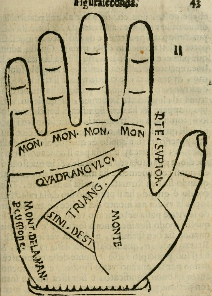 An illustration from Epitoma chyromantico di Patritio Tricasso da Cerasari Mantouano : nel quale si contiene tutte l'opere per esso Tricasso in questa scientia composte, con assai figure, & dichiarationi agiunte ; facilissimo ad imparare, & in breuissimo tempo, 1538, leaf 50