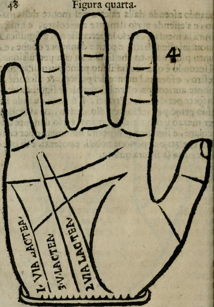 An illustration from Epitoma chyromantico di Patritio Tricasso da Cerasari Mantouano : nel quale si contiene tutte l'opere per esso Tricasso in questa scientia composte, con assai figure, & dichiarationi agiunte ; facilissimo ad imparare, & in breuissimo tempo, 1538, leaf 55