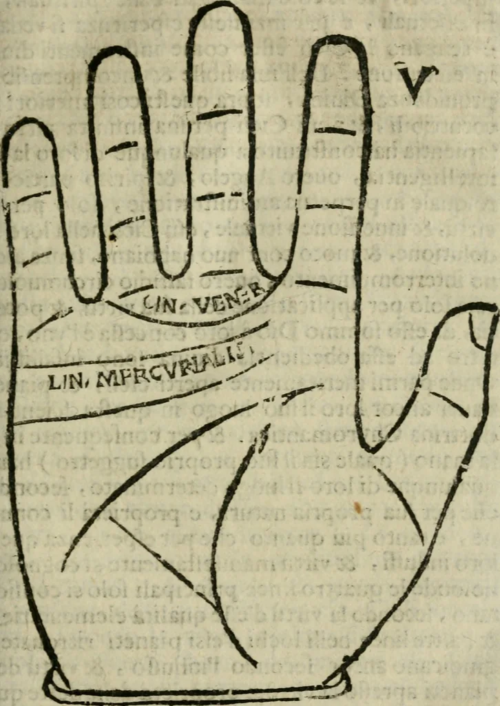 An illustration from Epitoma chyromantico di Patritio Tricasso da Cerasari Mantouano : nel quale si contiene tutte l'opere per esso Tricasso in questa scientia composte, con assai figure, & dichiarationi agiunte ; facilissimo ad imparare, & in breuissimo tempo, 1538, leaf 58