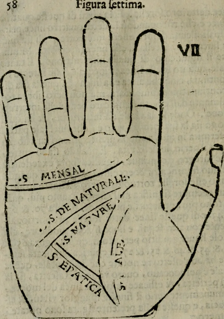 An illustration from Epitoma chyromantico di Patritio Tricasso da Cerasari Mantouano : nel quale si contiene tutte l'opere per esso Tricasso in questa scientia composte, con assai figure, & dichiarationi agiunte ; facilissimo ad imparare, & in breuissimo tempo, 1538, leaf 65