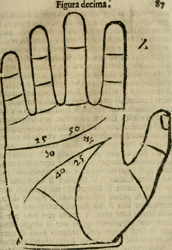 An illustration from Epitoma chyromantico di Patritio Tricasso da Cerasari Mantouano : nel quale si contiene tutte l'opere per esso Tricasso in questa scientia composte, con assai figure, & dichiarationi agiunte ; facilissimo ad imparare, & in breuissimo tempo, 1538, leaf 94