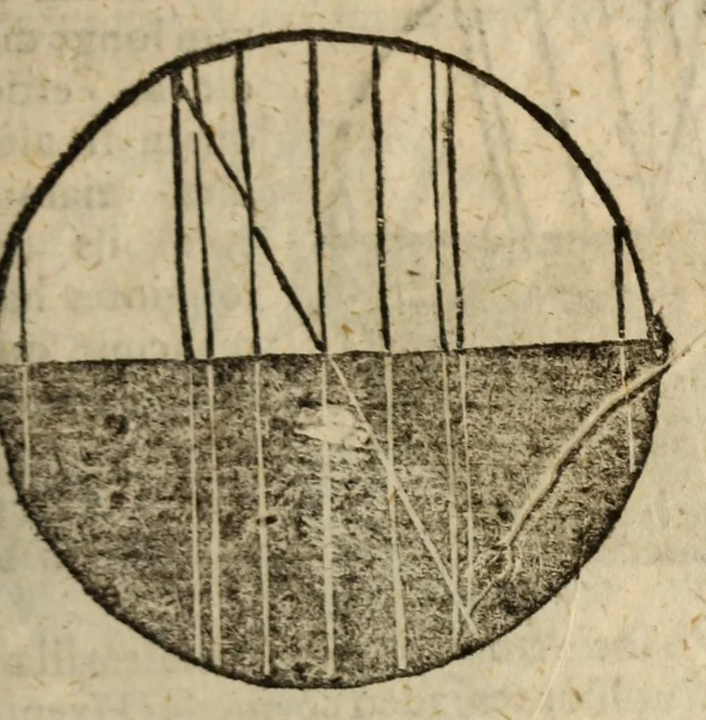 An illustration from Epitome astronomiae copernicanae, usitatâ formâ quaestionum & responsionum conscripta, inq; VII. libros digesta .., 1618, leaf 351