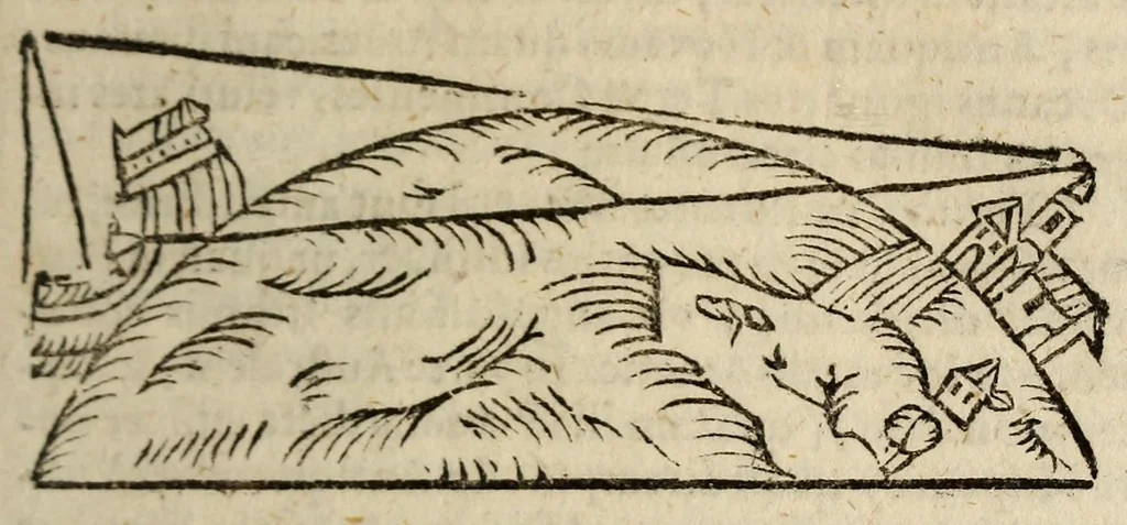 An illustration from Epitome astronomiae copernicanae, usitatâ formâ quaestionum & responsionum conscripta, inq; VII. libros digesta .., 1618, leaf 49