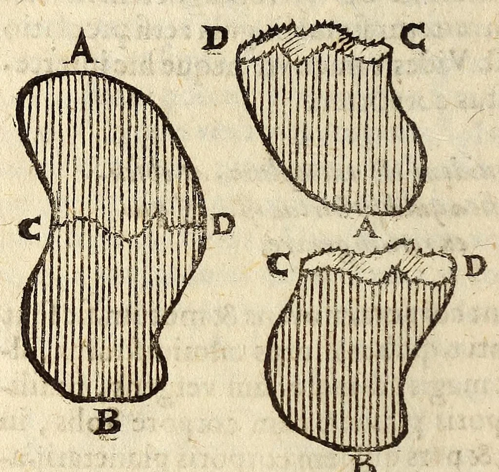 An illustration from Epitome astronomiae copernicanae, usitatâ formâ quaestionum & responsionum conscripta, inq; VII. libros digesta .., 1618, leaf 108