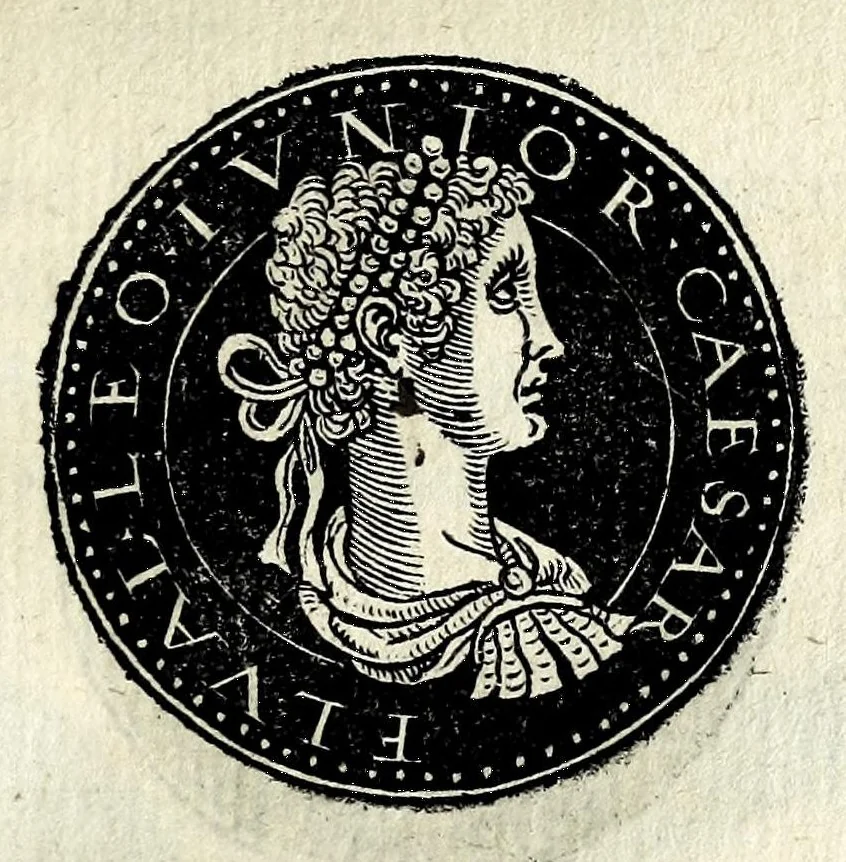 An illustration from Epitome dv thresor des antiqvitez, c'est à dire, Pourtraits des vrayes medailles des empp. tant d'Orient que d'Occident, 1553, leaf 289