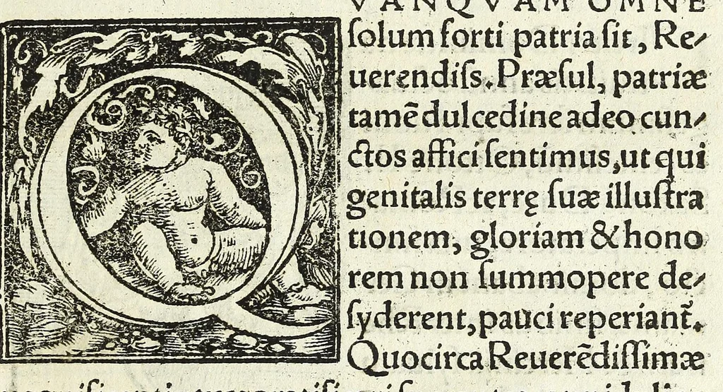 An illustration from Epitome regii ac vetvstissimi ortus sacrae caesarae ac Catholic̜e maiestatis, serenissimi quoq[ue] principis & domini, Dn. Ferdinandi, Vngariae ac Bohemiae regis, omniumq[ue] archiducum Austriae, ac Habsburgensium comitum, 1530, leaf 149