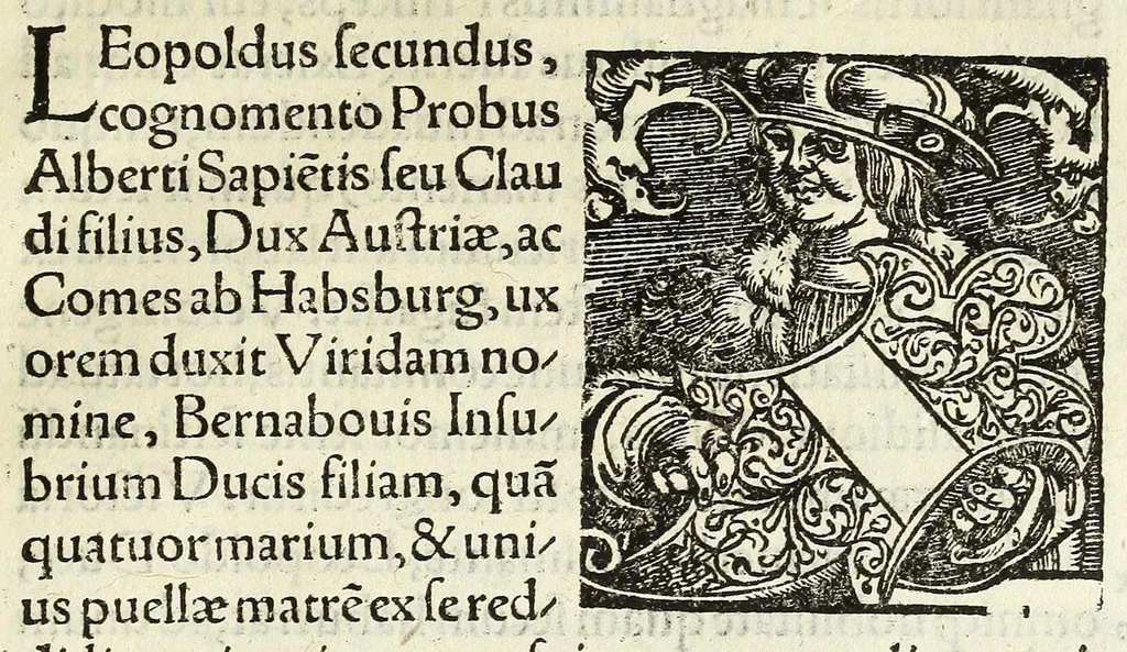 An illustration from Epitome regii ac vetvstissimi ortus sacrae caesarae ac Catholic̜e maiestatis, serenissimi quoq[ue] principis & domini, Dn. Ferdinandi, Vngariae ac Bohemiae regis, omniumq[ue] archiducum Austriae, ac Habsburgensium comitum, 1530, leaf 65