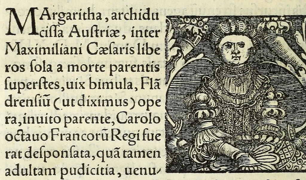 An illustration from Epitome regii ac vetvstissimi ortus sacrae caesarae ac Catholic̜e maiestatis, serenissimi quoq[ue] principis & domini, Dn. Ferdinandi, Vngariae ac Bohemiae regis, omniumq[ue] archiducum Austriae, ac Habsburgensium comitum, 1530, leaf 90
