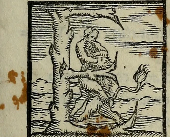 An illustration from Epitomes omnium Galeni Pergameni operum, vniuersam illius viri doctrinam, & methodu[m], quàm accuratissimè contine[n]tis, sectio prima-[quarta], 1548, leaf 16