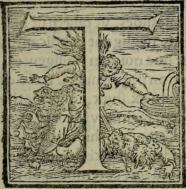 An illustration from Epitomes omnium Galeni Pergameni operum, vniuersam illius viri doctrinam, & methodu[m], quàm accuratissimè contine[n]tis, sectio prima-[quarta], 1548, leaf 20