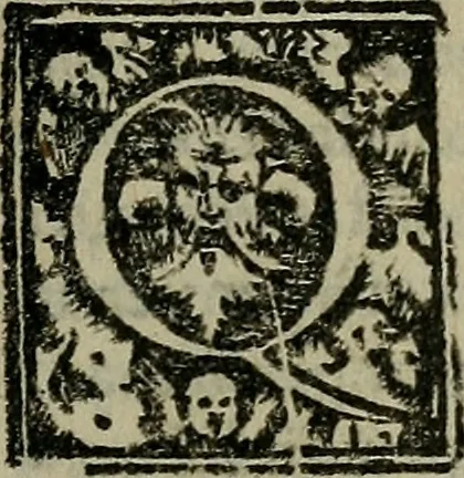 An illustration from Epitomes omnium Galeni Pergameni operum, vniuersam illius viri doctrinam, & methodu[m], quàm accuratissimè contine[n]tis, sectio prima-[quarta], 1548, leaf 248