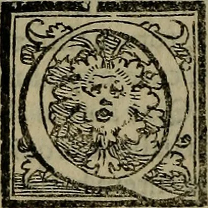An illustration from Epitomes omnium Galeni Pergameni operum, vniuersam illius viri doctrinam, & methodu[m], quàm accuratissimè contine[n]tis, sectio prima-[quarta], 1548, leaf 259