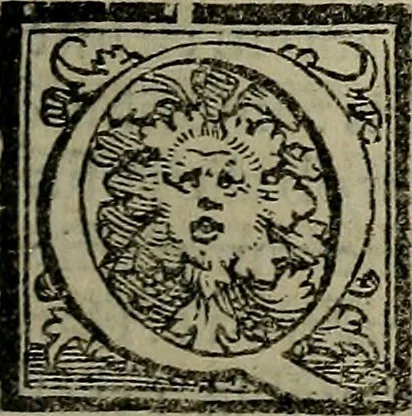 An illustration from Epitomes omnium Galeni Pergameni operum, vniuersam illius viri doctrinam, & methodu[m], quàm accuratissimè contine[n]tis, sectio prima-[quarta], 1548, leaf 262