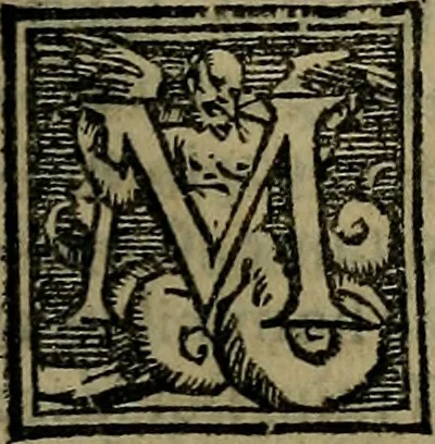 An illustration from Epitomes omnium Galeni Pergameni operum, vniuersam illius viri doctrinam, & methodu[m], quàm accuratissimè contine[n]tis, sectio prima-[quarta], 1548, leaf 358
