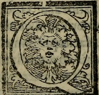 An illustration from Epitomes omnium Galeni Pergameni operum, vniuersam illius viri doctrinam, & methodu[m], quàm accuratissimè contine[n]tis, sectio prima-[quarta], 1548, leaf 395