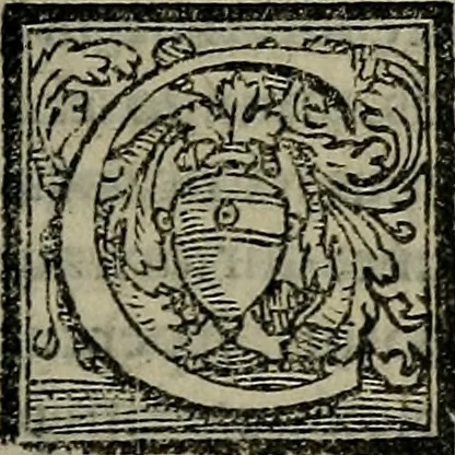 An illustration from Epitomes omnium Galeni Pergameni operum, vniuersam illius viri doctrinam, & methodu[m], quàm accuratissimè contine[n]tis, sectio prima-[quarta], 1548, leaf 410